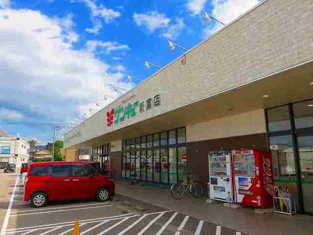 スーパー　サンキュー新富店（スーパー）まで900m