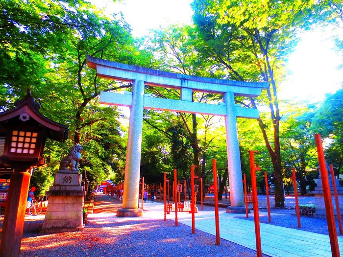 公園　大國魂神社（公園）まで1700m
