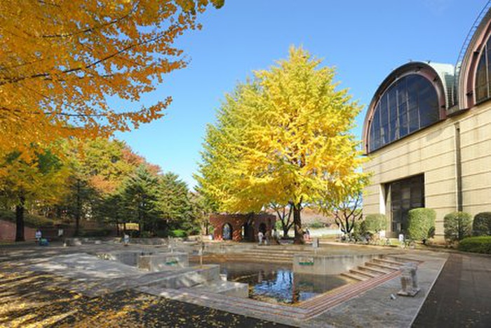 公園　小平市立中央公園（公園）まで350m