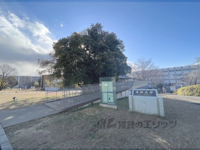 大学・短大　京都大学宇治キャンパス（大学・短大）まで2860m