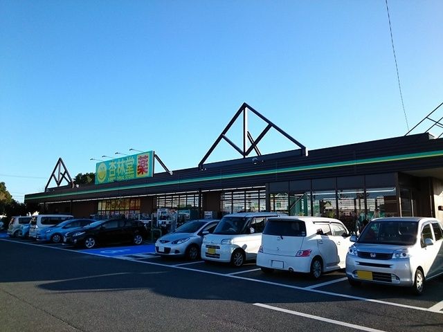 ドラックストア　杏林堂ドラッグストア 上島駅前（ドラッグストア）まで950m