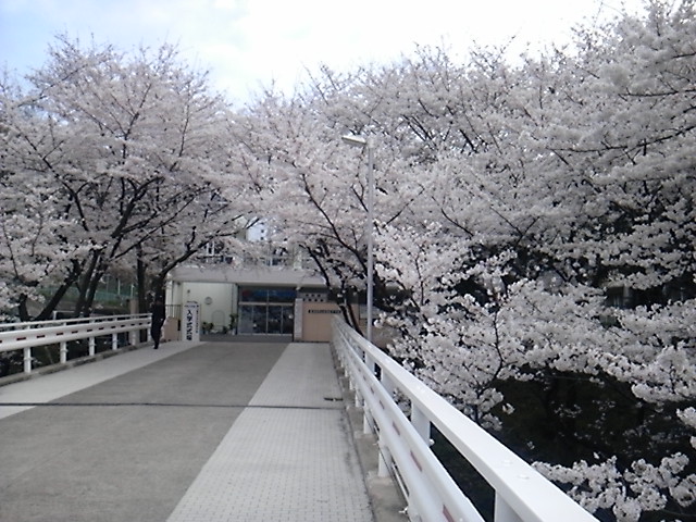 高校・高専　日新高等学校（高校・高専）まで1272m