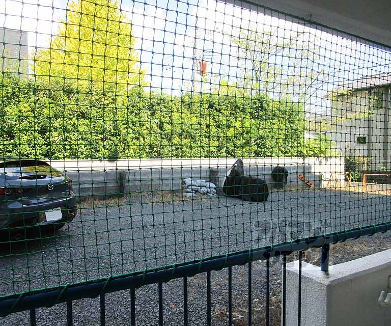 眺望　１０５号室の写真です。