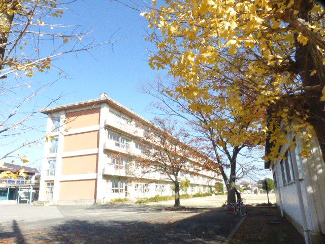 小学校　桜井南小学校（小学校）まで619m
