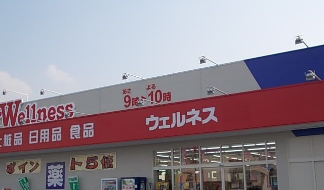 ドラックストア　ウェルネス みのかや店（ドラッグストア）まで1350m
