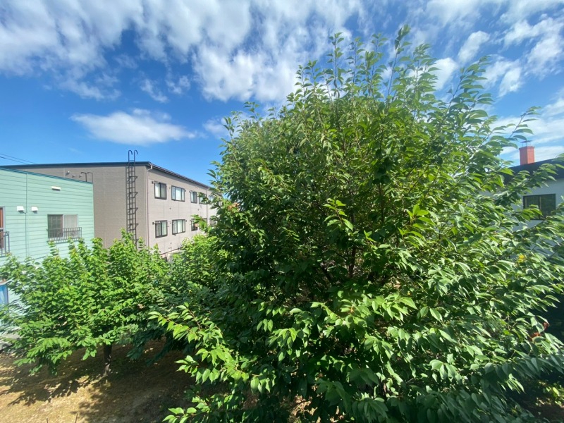 眺望　眺望はこちら。静かな住宅街という印象を受けました。