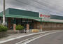 スーパー　FCO・OP折尾店（スーパー）まで333m