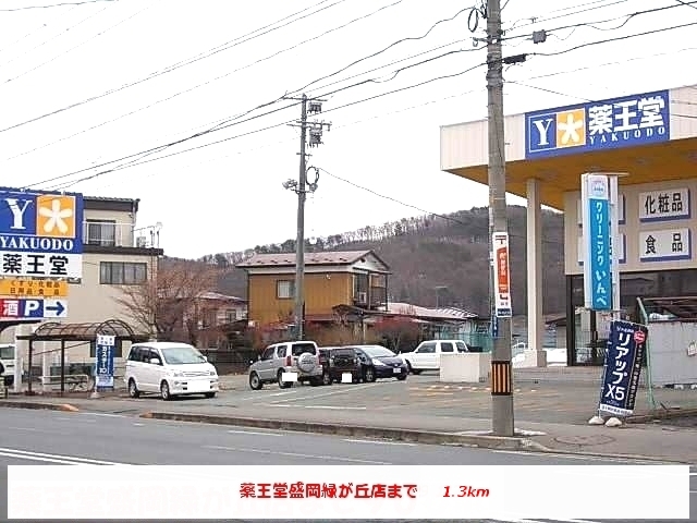 ドラックストア　薬王堂盛岡緑が丘店（ドラッグストア）まで1300m