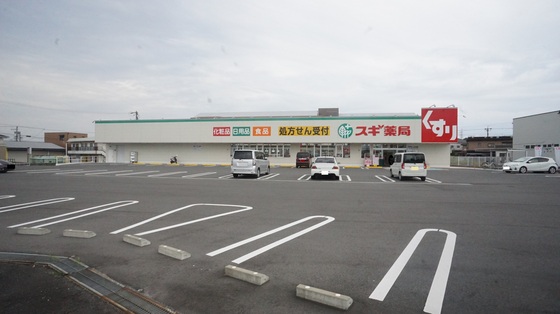 ドラックストア　スギ薬局玉垣店（ドラッグストア）まで846m