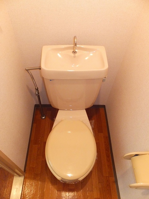 グリーンヒルズのトイレ写真