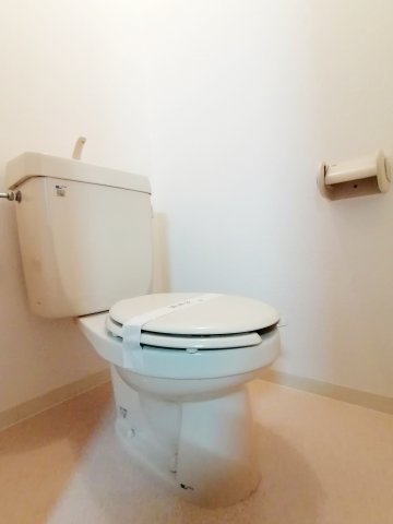 ベルフレージュ南堀江のトイレ写真