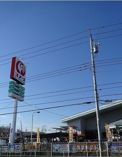 ホームセンター　コメリ（ホームセンター）まで300m
