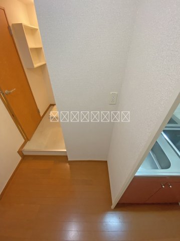 アカシアのその他写真