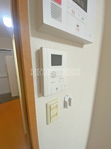 アカシアのその他写真