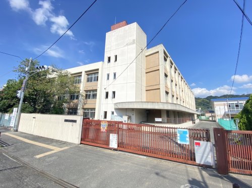 小学校　柏原市立柏原東小学校（小学校）まで161m
