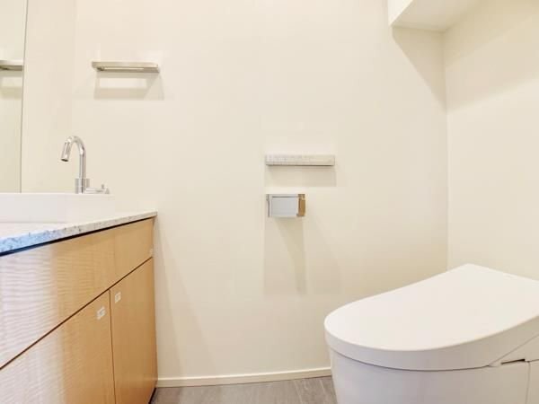 Brillia一番町のトイレ写真