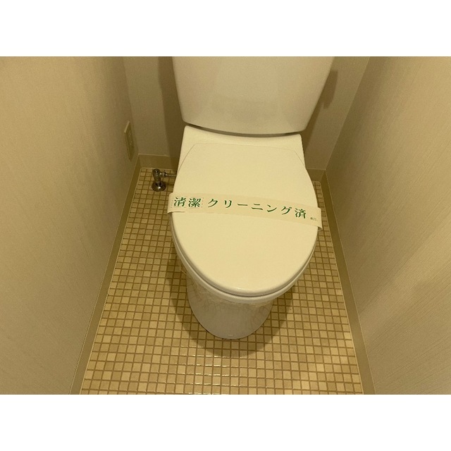 ・チェリーヒル 多摩のトイレ写真