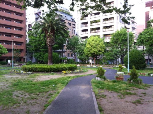 公園　中大江公園（公園）まで999m