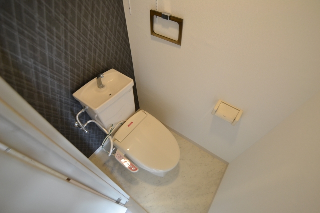 ドミール寺尾のトイレ写真