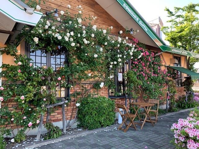 飲食店　コメダ珈琲店（飲食店）まで440m
