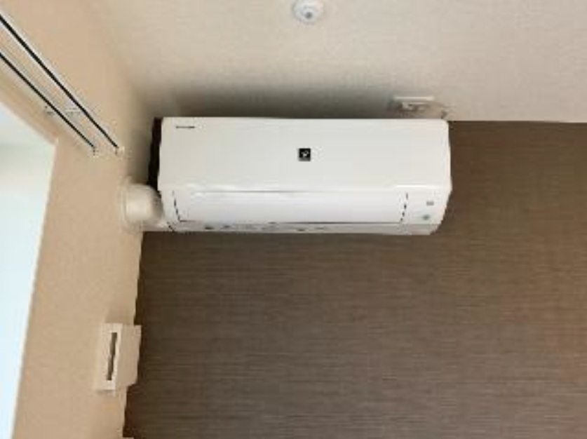 フォルトゥーナのその他写真