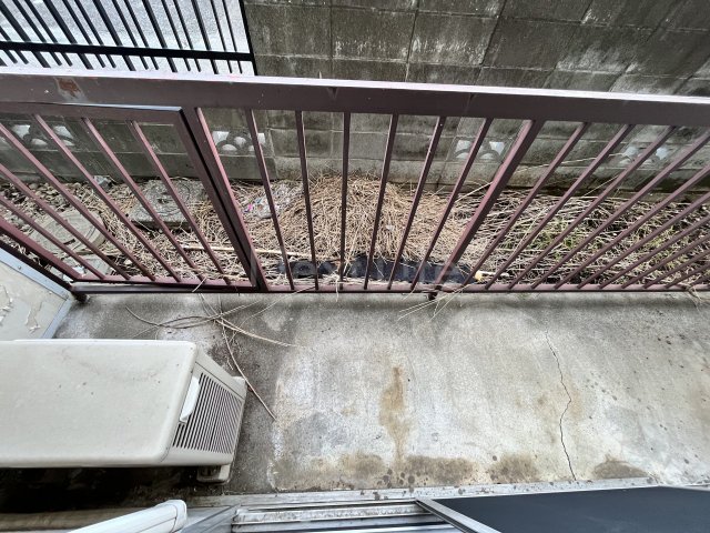 ハイムあさひの内装写真
