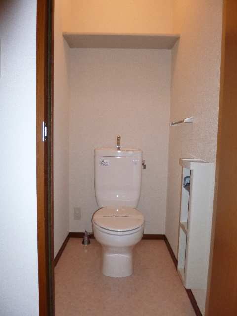 マ・メゾン大治のトイレ写真