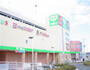 スーパー　サミットストア 東寺方店（スーパー）まで733m
