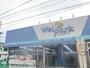 ドラックストア　ウェルパーク東大和南街店（ドラッグストア）まで280m