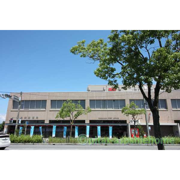 郵便局　長浜郵便局（郵便局）まで657m