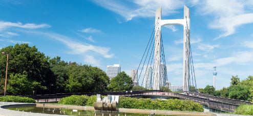 公園　木場公園（公園）まで581m