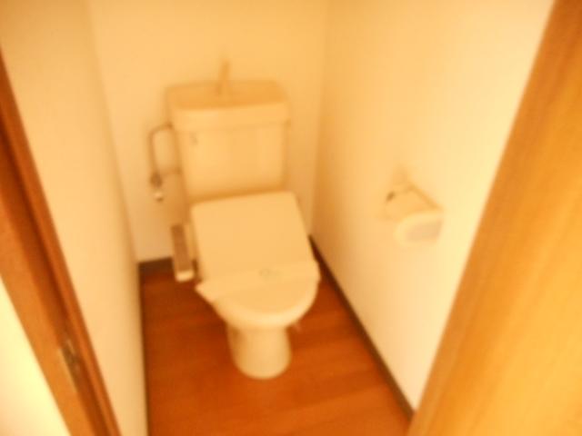 ビックアイランドIIのトイレ写真