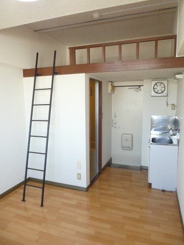玄関　ロフトはハシゴで登れます。ロフトにカーテンも付けられます♪