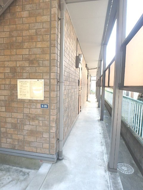 エントランス　共用廊下