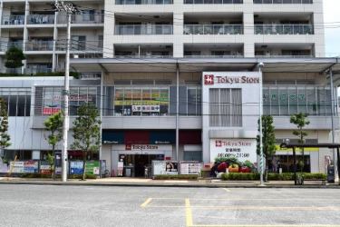 スーパー　向ヶ丘遊園　東急ストア（スーパー）まで257m