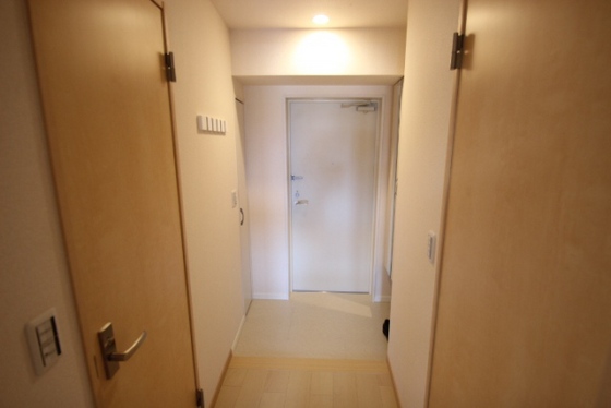RYUO HILLSの玄関写真