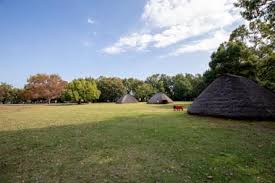 公園　水子貝塚公園（公園）まで783m
