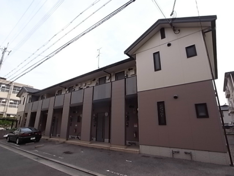 Court yard 高木