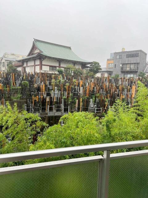 眺望　バルコニー側に墓地有