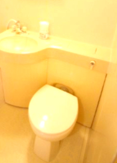 メゾン・ド・ジャンティエースのトイレ写真