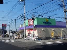 ドラックストア　ウェルパーク川崎中野島店（ドラッグストア）まで358m