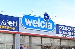 ドラックストア　ウエルシア太田富沢店（ドラッグストア）まで1379m