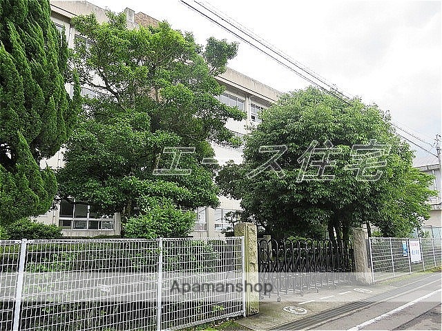 小学校　西条市立橘小学校（小学校）まで442m