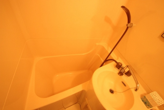 バス・シャワールーム　※別部屋の写真です