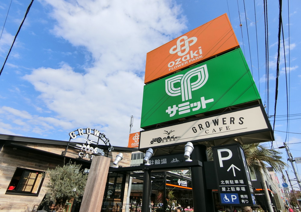 Terrace上石神井westの周辺写真