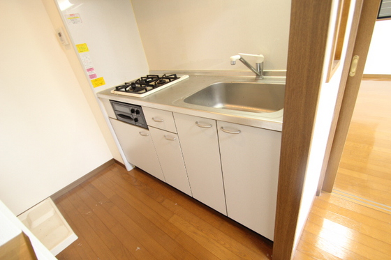 キッチン　※別号室の写真です