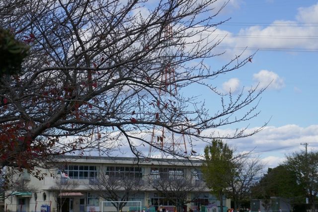 幼稚園・保育園　田原幼稚園（幼稚園・保育園）まで4538m