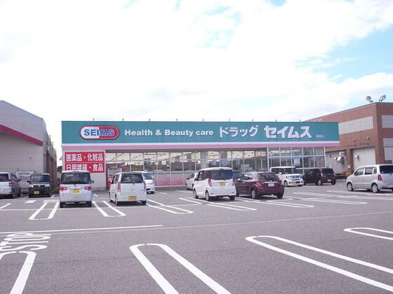スーパー　ドラッグセイムス羽根店（スーパー）まで743m