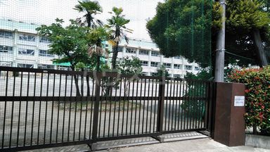 小学校　白鳥小学校（小学校）まで342m