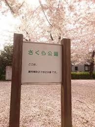 公園　さくら公園（公園）まで694m